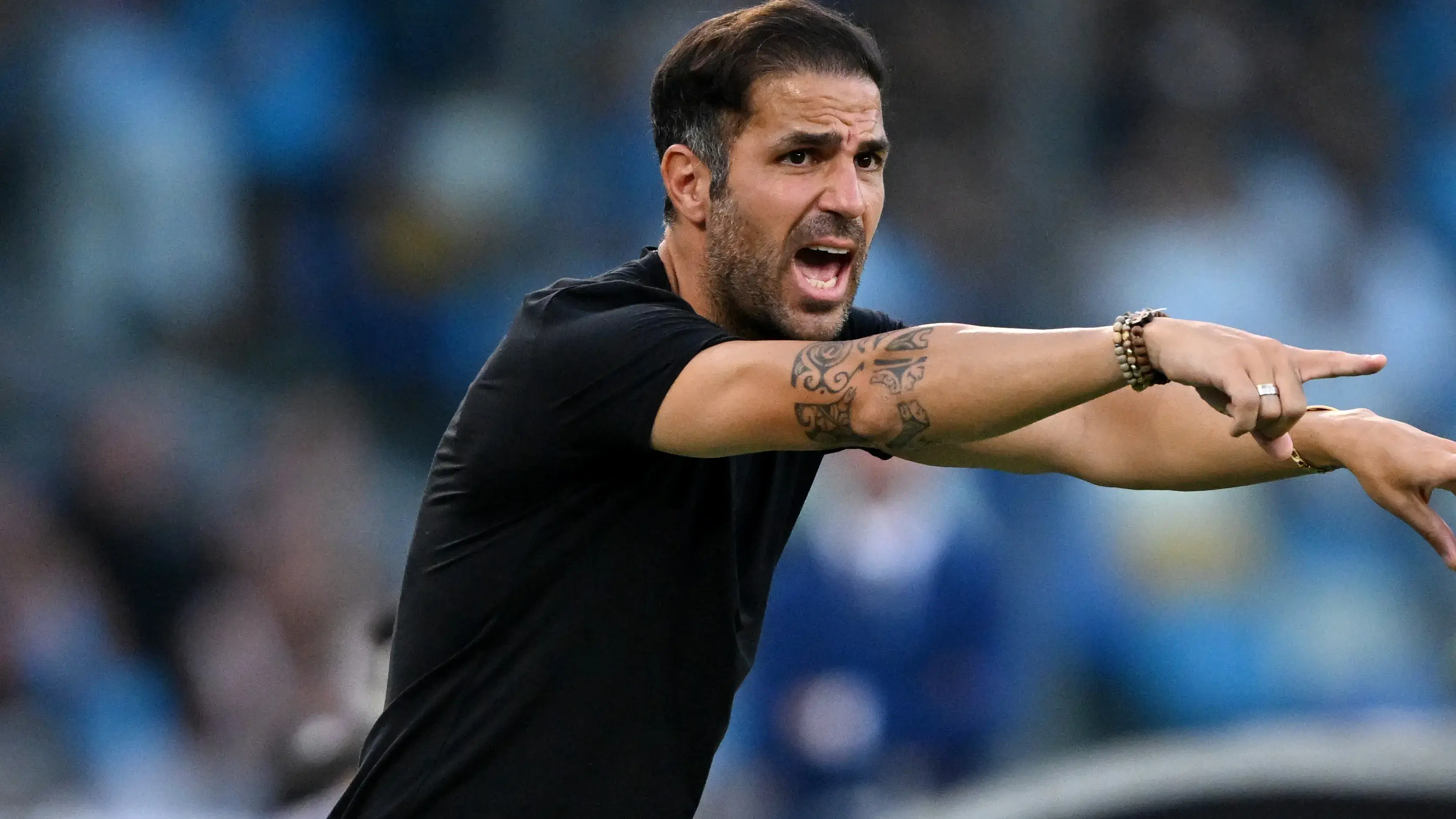 cesc fabregas