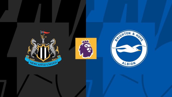 Newcastle&nbsp;vs&nbsp;Brighton Predictions- May 2, 2026
